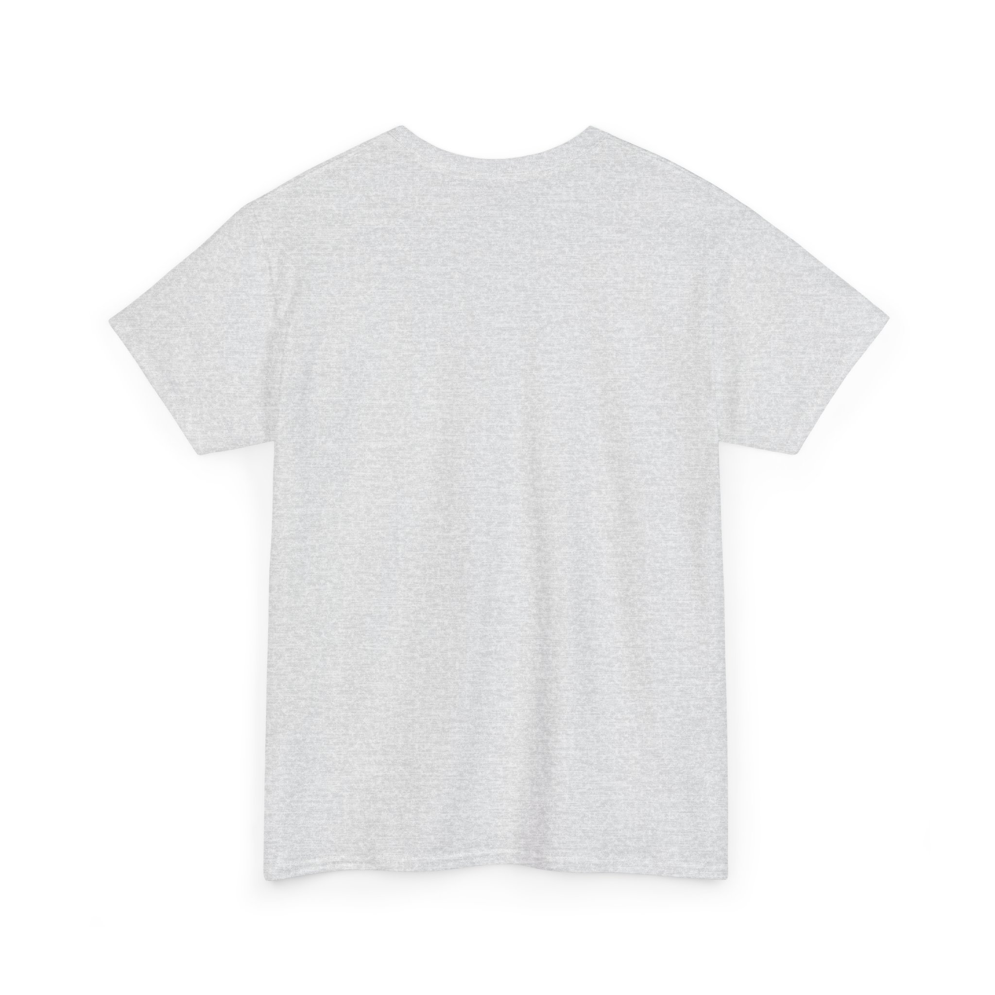 A Kings Painting Co. Logo T‑Shirt | Gildan Ultra Cotton (G2000) in plain light gray, short sleeves, displayed flat from the back on a white background.