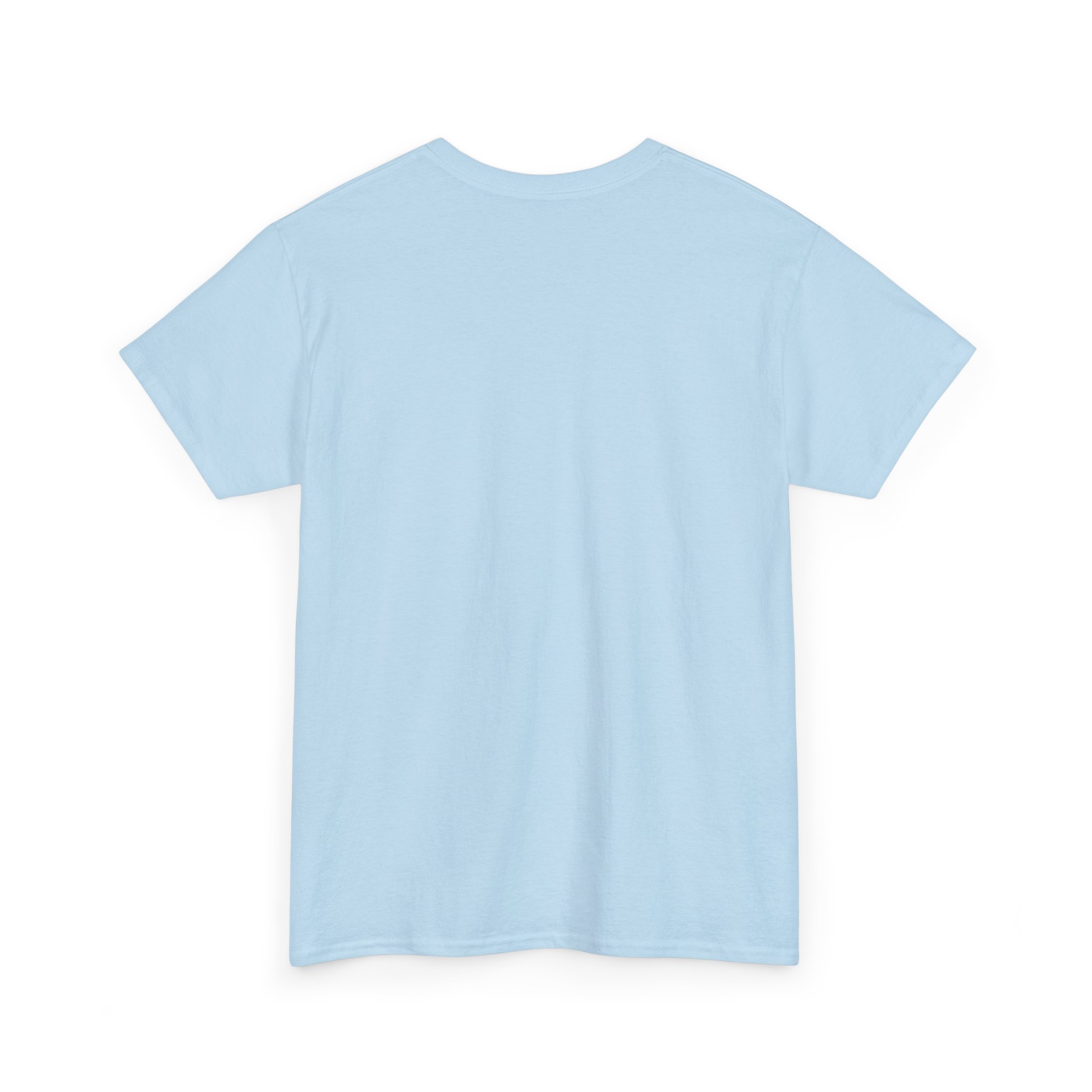 Kings Painting Co. Logo T‑Shirt (Gildan Ultra Cotton G2000) in light blue, shown from the back with short sleeves, laid flat on a white background; the shirt appears plain with no visible graphics, text, or tags on this side.